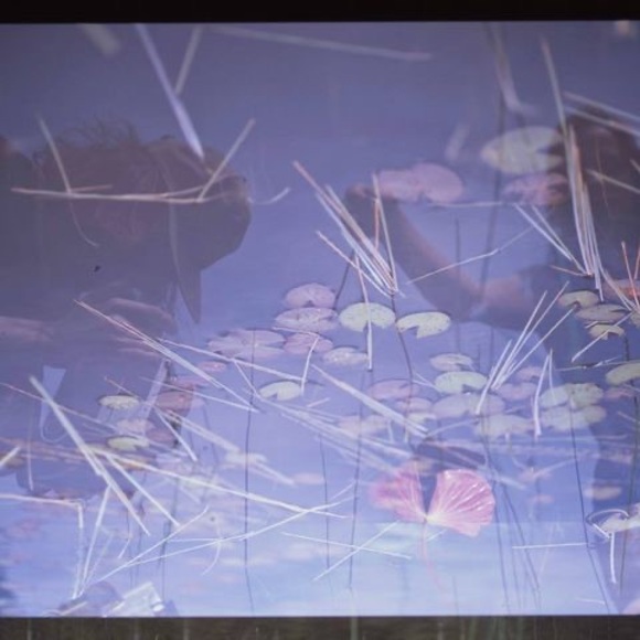 Meet your Posher, Alex - Picture 1 of 1